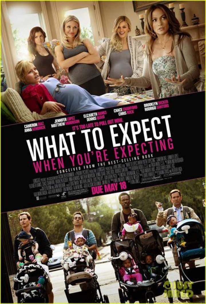 'What To Expect When You're Expecting' Premiere Red Carpet