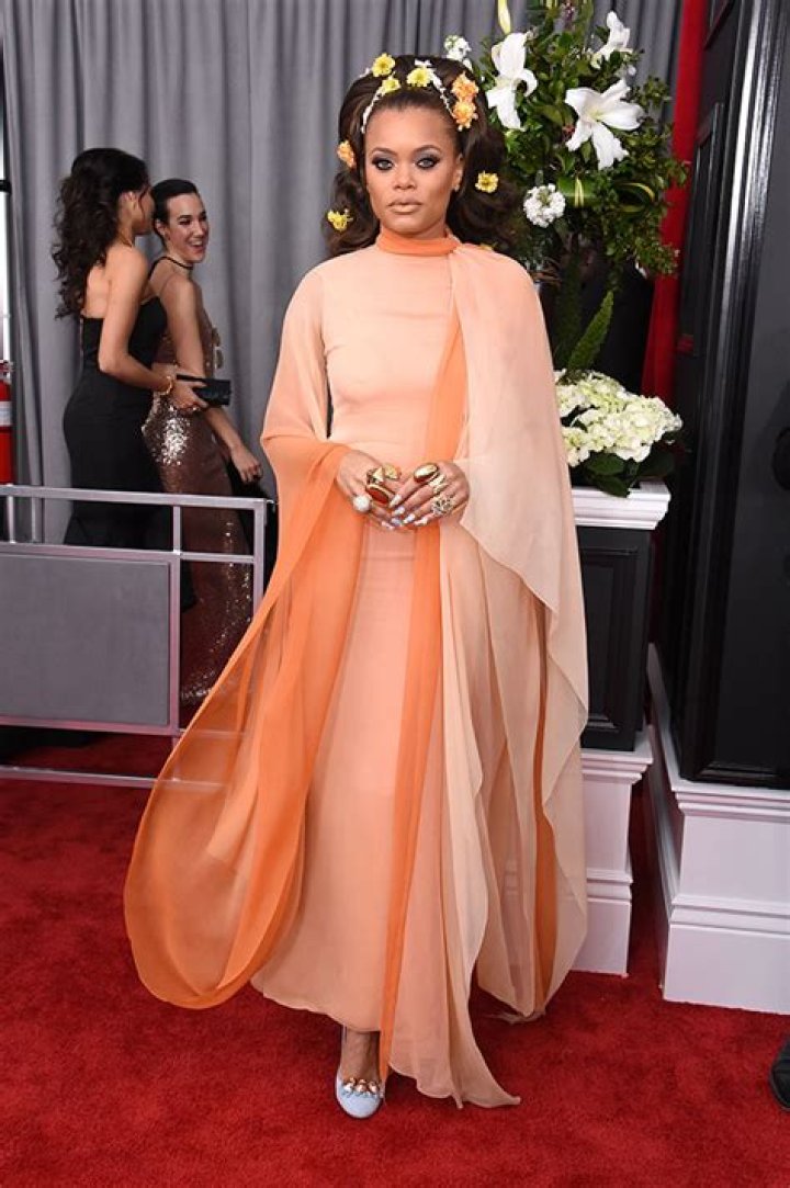 2017 Grammys Fashion — See The Best Dressed Celebs On The Red Carpet