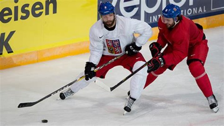 2017 Ice Hockey World Championships — SEE PICS