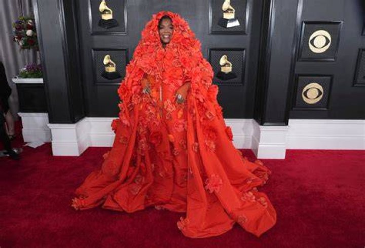 2019 Latin Grammys Red Carpet — See Pics – Hollywood Life