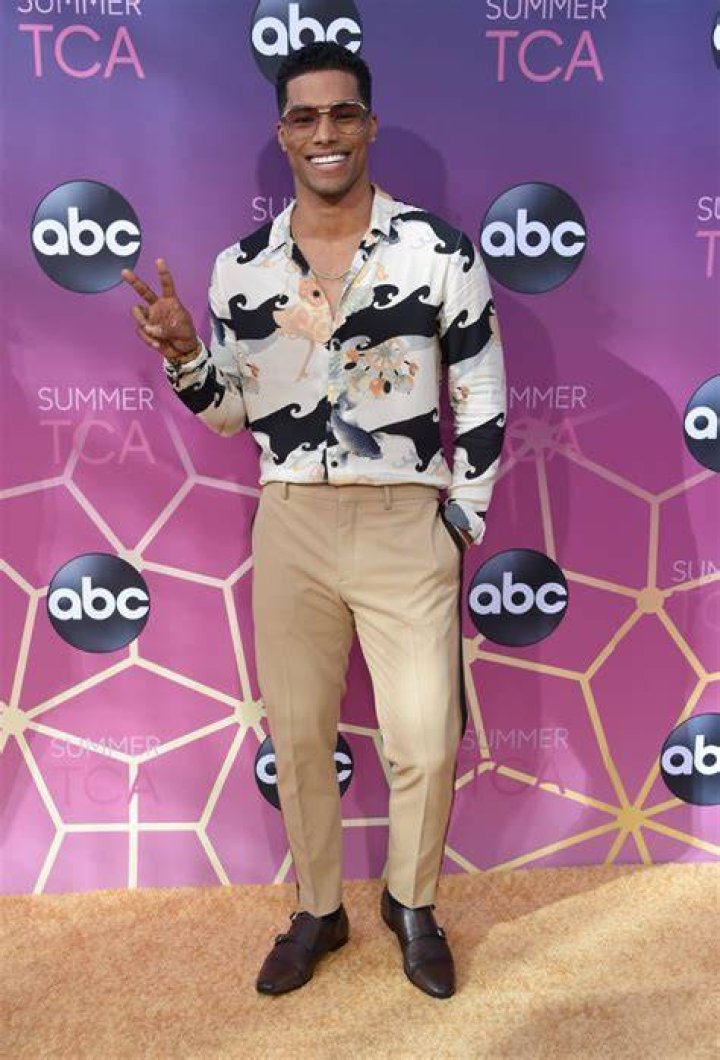 ABC TCA Summer Party 2019 — Photos