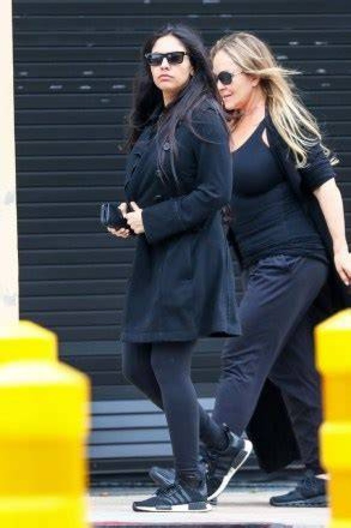 Al Pacino & Noor Alfallah Go On Date Night After Baby Born – Hollywood Life