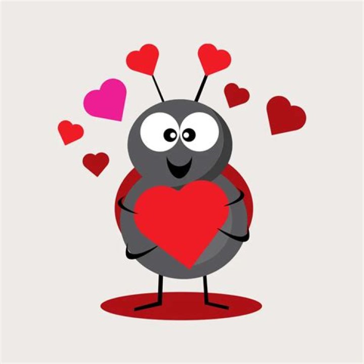 Amazon Sells Virtual Experiences – 30% Off Cooking Demos & Tours For Valentine’s Day