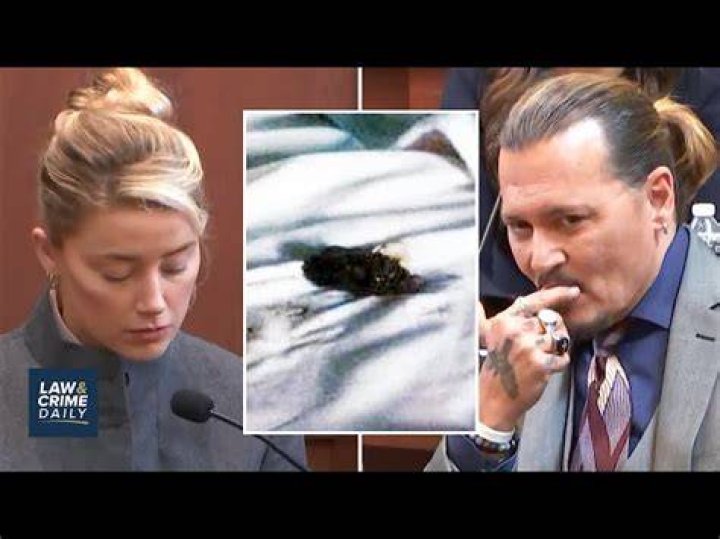 Amber Heard Pooped In The Bed & Made Him Want Divorce – Hollywood Life