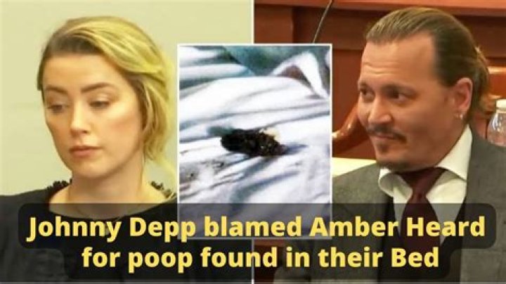 Amber Heard Reacts To Johnny Depp Poop In The Bed Story – Hollywood Life
