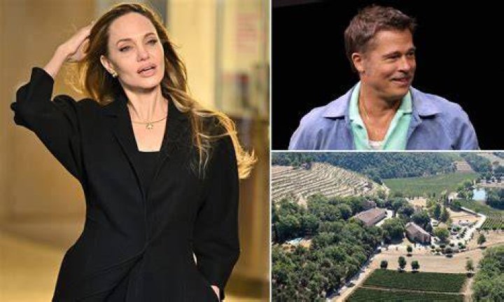 Angelina Jolie Wins Contentious Battle Against Ex Brad Pitt Over French Winery
