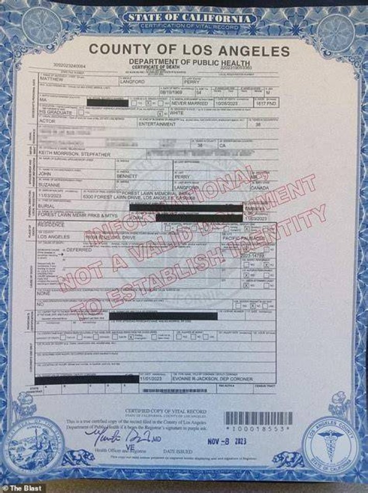 Anton Yelchin’s Death Certificate Reveals How The Actor Died – Hollywood Life