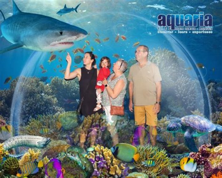 Aquaria — SEE PICS