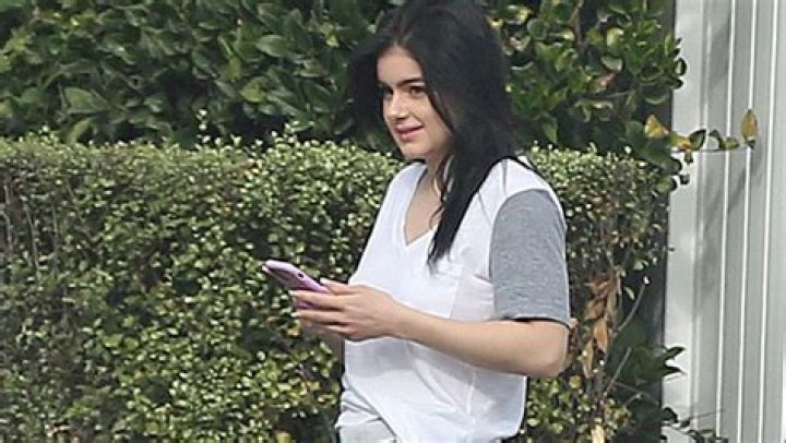Ariel Winter Goes Makeup-Free In See-Through Shirt & Short Shorts – Hollywood Life