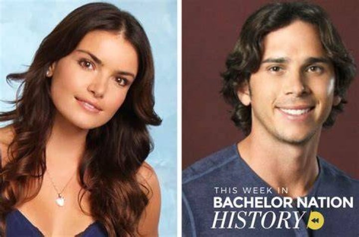 Ashley Hebert, How Could You Let Ben Flajnik Propose On 'The Bachelorette'?