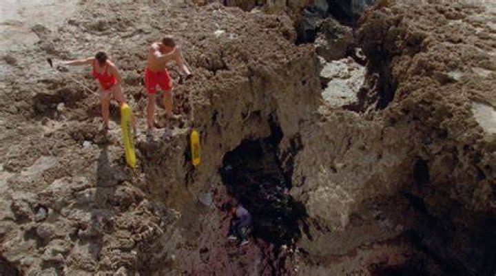 ‘Baywatch’s Krista Allen Robbed: Woman Breaks In & Kicks Dog, Steals Vibrator