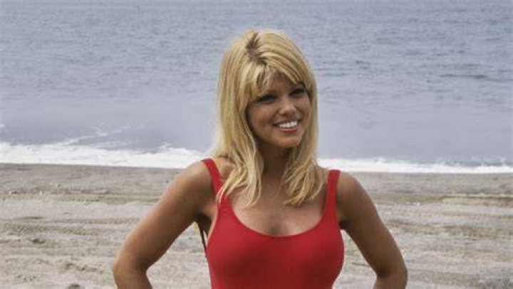 ‘Baywatch’ Star Donna D’Errico Slams Critic Who Called Her Sexy Bikini Videos ‘Raunchy’