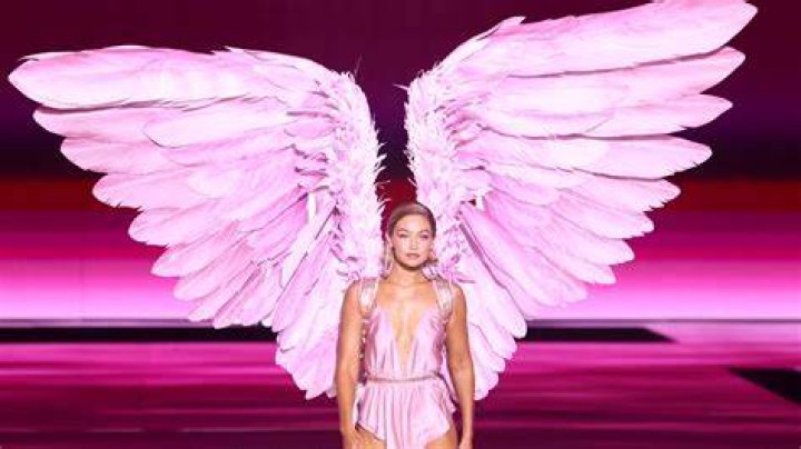 Bella Hadid Pink Lingerie For Victorias Secret Valentines Day – Photos – Hollywood Life
