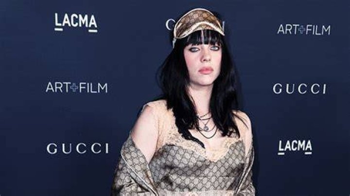 Billie Eilish Takes A Commercial Flight & Ditches Private Jet: Video – Hollywood Life