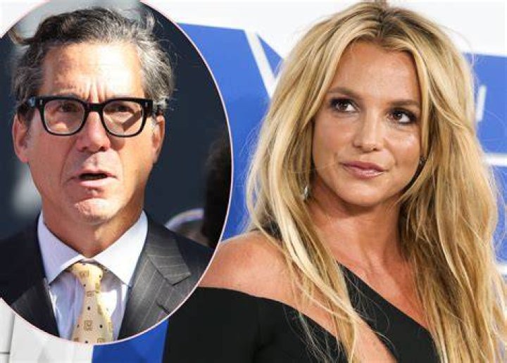 Britney Spears’ Lawyer Compares Her Current Mental Capacity To A Comatose Patient