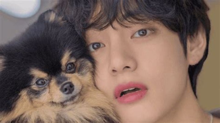 BTS Plays With V’s Dog Yeontan In Cute New Video & Fans Are Swooning – Watch