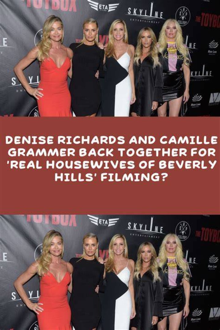 Camille Grammer Squashes Denise Richards & Brandi Glanville Hookup Rumor