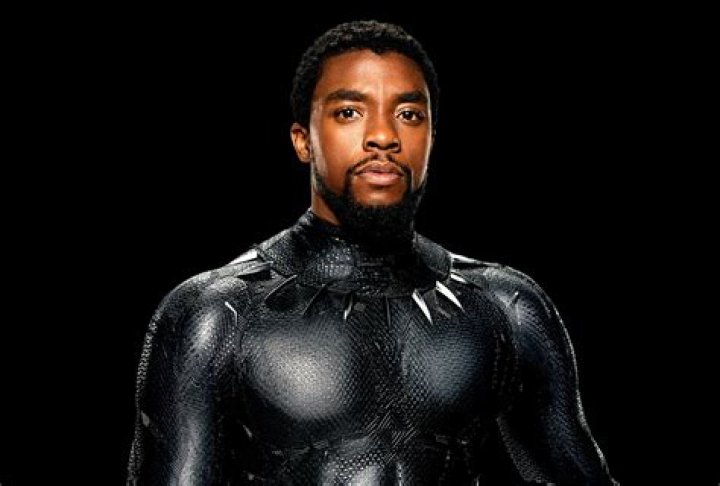 Chadwick Boseman PICS of the ‘Black Panther’ Actor – Hollywood Life