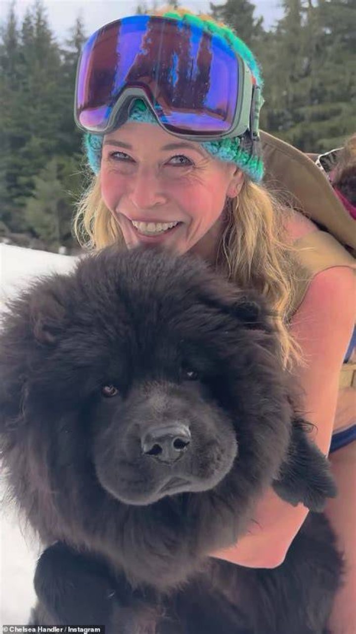 Chelsea Handler Rocks a Bikini While Skiing & Carrying Her Dog: ‘Multi-tasking on My 49th’