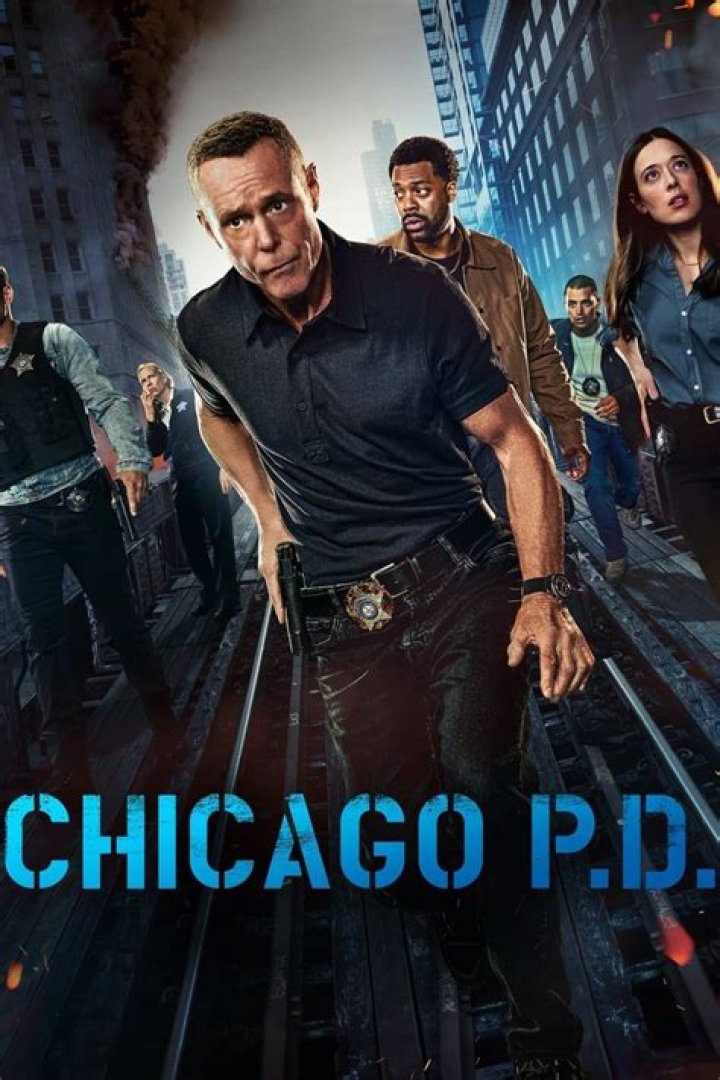 ‘Chicago P.D.’ Co-Stars Split – Hollywood Life