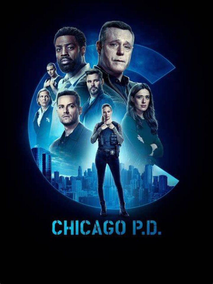 ‘Chicago P.D.’ Season 3 PICS