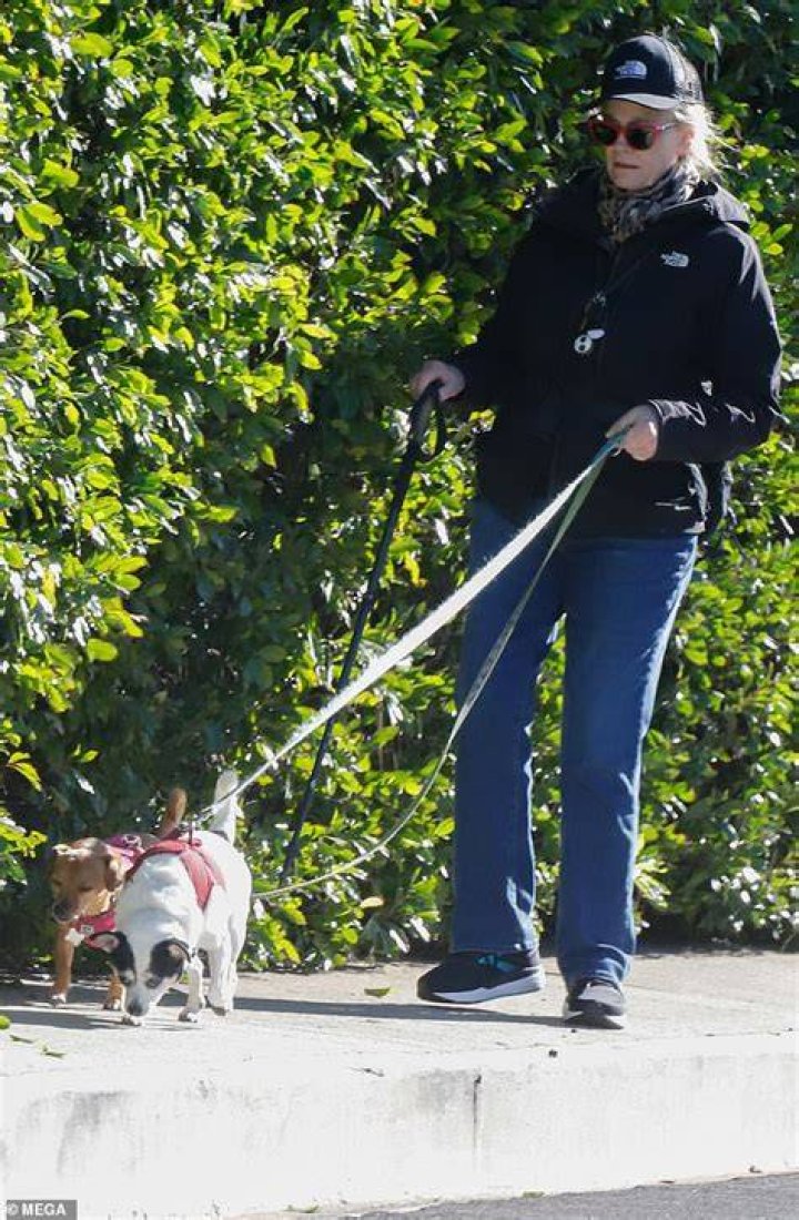 Cybill Shepherd Walks Her 3 Dogs In Los Angeles — Photos – Hollywood Life