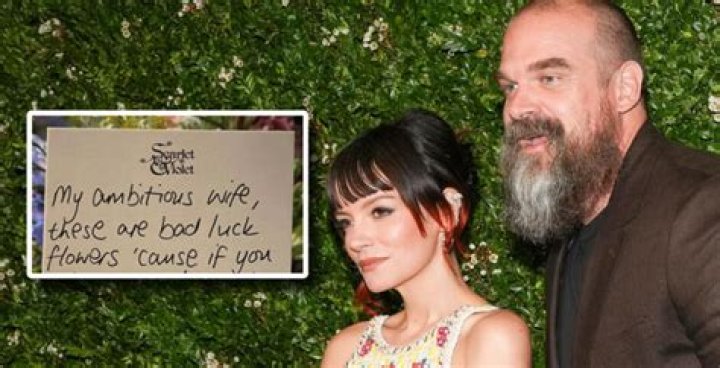David Harbour Makes Out With Lily Allen As They Confirm Romance With Hot PDA Pics