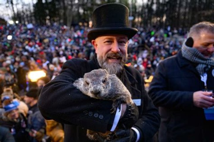 Did Groundhog See Shadow In 2022? Punxsutawney Phil Makes Prediction – Hollywood Life