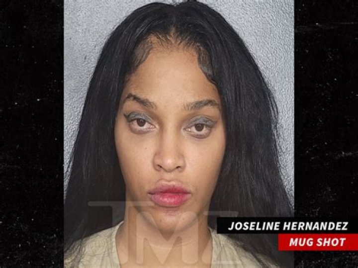 Did Joseline Hernandez Get Tommie Lee Fired From ‘L&HH?’ — She Was ‘Scheming’ – Hollywood Life