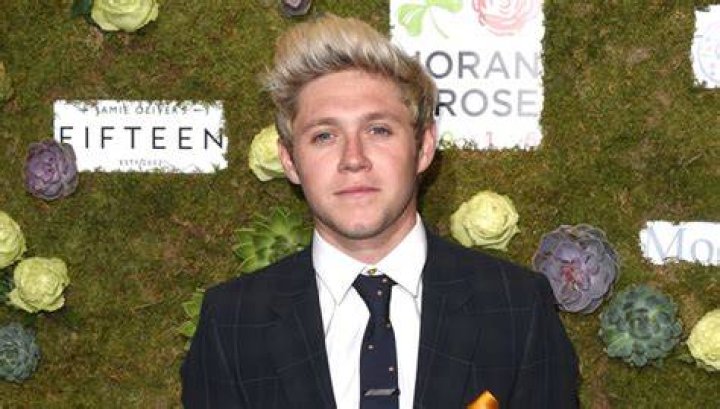 Did Niall Horan Dye His Hair Blonde Again? Fans Think So — See Pic – Hollywood Life