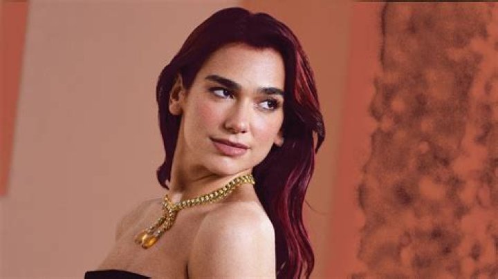 Dua Lipa Debuts Red Hair In Stunning Beauty Makeover: Photos  – Hollywood Life