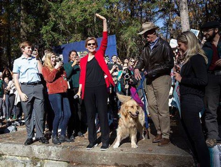 Elizabeth Warren’s Adorable Retriever Bailey Grabs & Eats Staffer’s Burrito In Viral Video