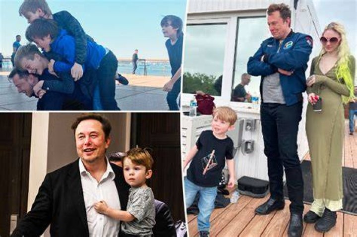 Elon Musk’s New Gal Pal Revealed After They’re Seen On Private Jet – Hollywood Life