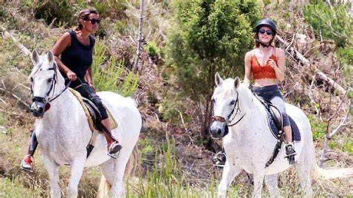 Emma Watson’s Orange Crop Top Horseback Riding: Photos – Hollywood Life