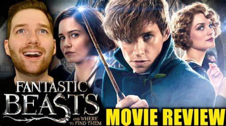 ‘Fantastic Beasts’ Review: A Truly Magical Adventure, Just When We Need It Most