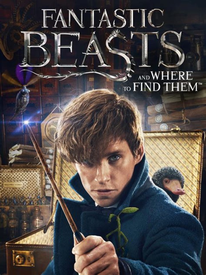 ‘Fantastic Beasts & Where To Find Them’: 3 Ways To Survive The Wait For The Movie
