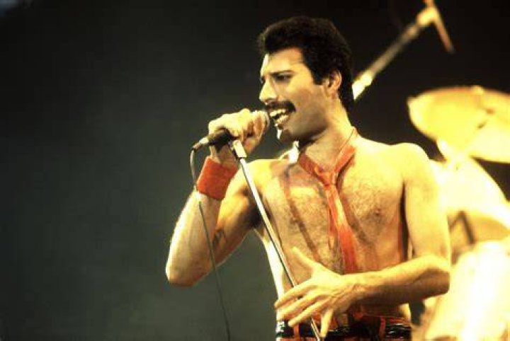 Freddie Mercury Celebrity Profile – Hollywood Life