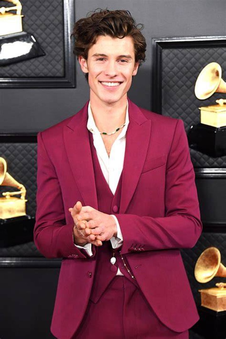 GeorgeNotFound Was Shawn Mendes’s Look-Alike, According To Fans – Hollywood Life