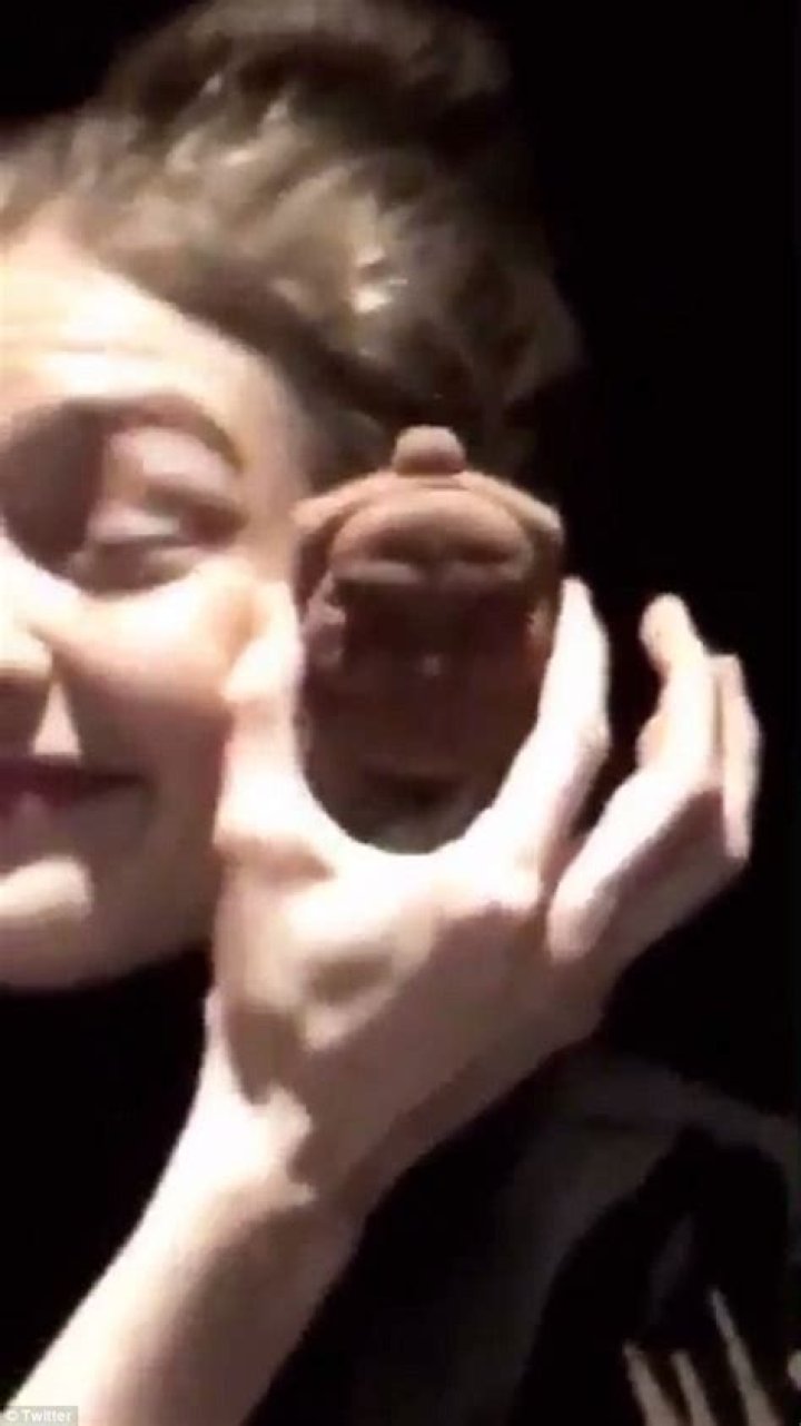 Gigi Hadid: Fans Slam Her For Being Racist After Posting Buddha Cookie Imitation Video