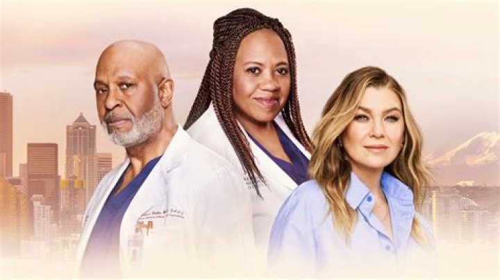 ‘Grey’s Anatomy’ Webber’s Birthday Episode — Jackson & April Sign Pre-Nup – Hollywood Life