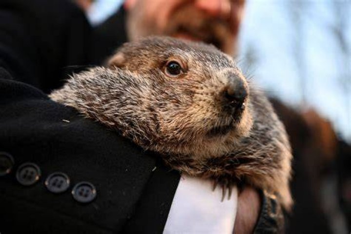 Groundhog Day 2017 — Photos