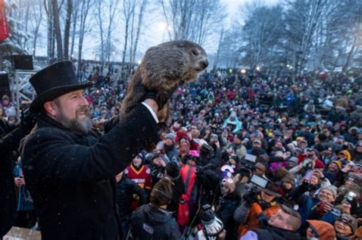 Groundhog Day 2020 — PICS – Hollywood Life