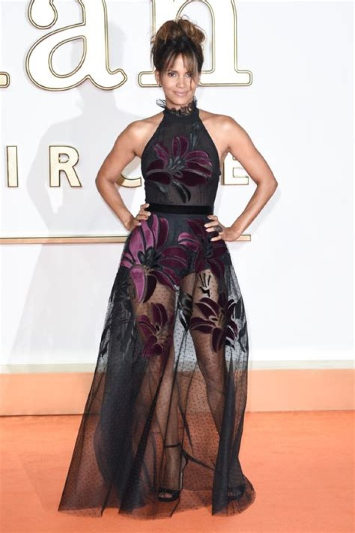 Halle Berry, Kendall Jenner & More Celebs In Sheer Outfits