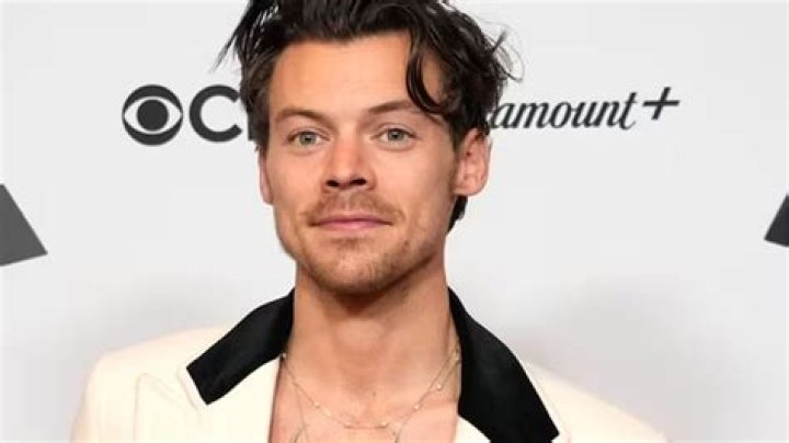 Harry Styles Confirms Fan Theory About New Album Art: Interview – Hollywood Life