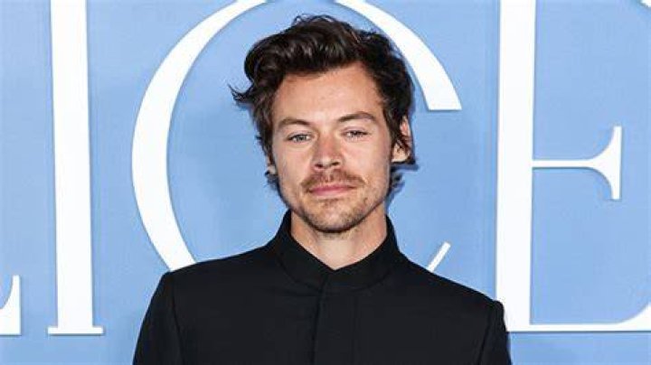 Harry Styles Debuts Shaved Head on U2 Date Night With Taylor Russell – Hollywood Life