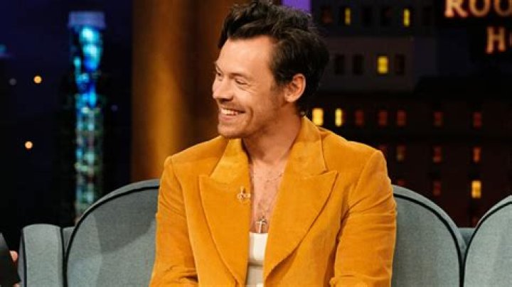 Harry Styles Fan Seemingly Faints On Live TV After Fist Bumping With Him: Watch