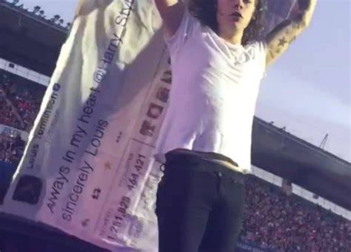Harry Styles Holds ‘Larry’ Tweet Flag To Show His Love For Him – Hollywood Life