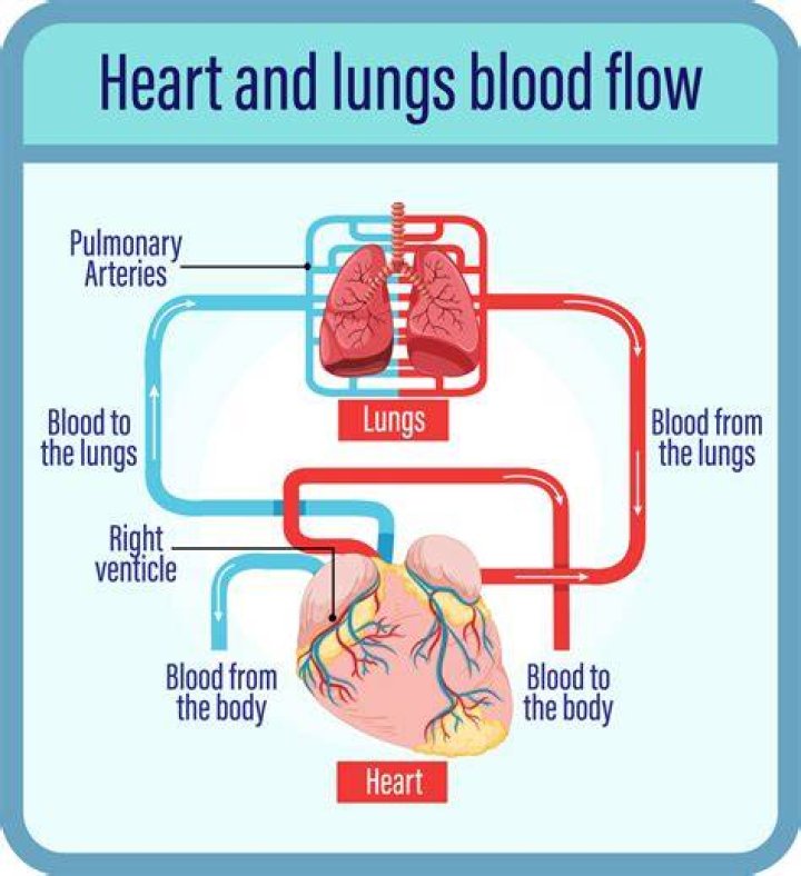 Heart Doctors Explain The Treatment – Hollywood Life