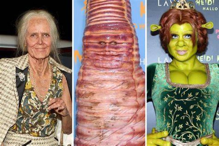 Heidi Klum’s Halloween Costume 2018 — See ‘Shrek’s Fiona Look At Party – Hollywood Life