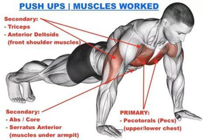 How Push-Ups Are The Ultimate Tone Up For Your Arms & Abs: Tips From Ex-Ballerina
